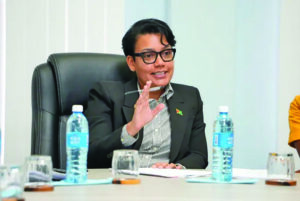 Foreign-owned businesses must meet tax, NIS, other regulatory requirements – Rodrigues