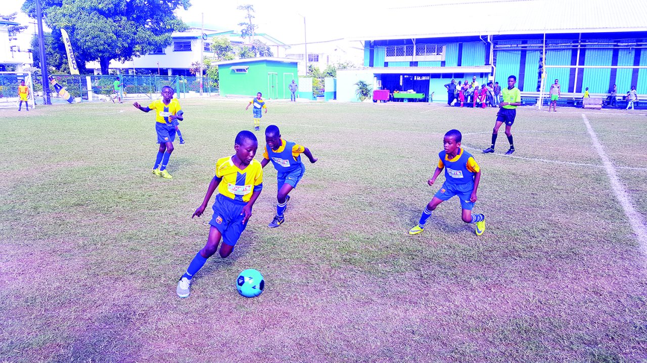 Action between St. Angela’s (yellow top) and  St. Pius on Saturday at the Banks DIH Thirst Park Ground 