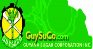 guysuco