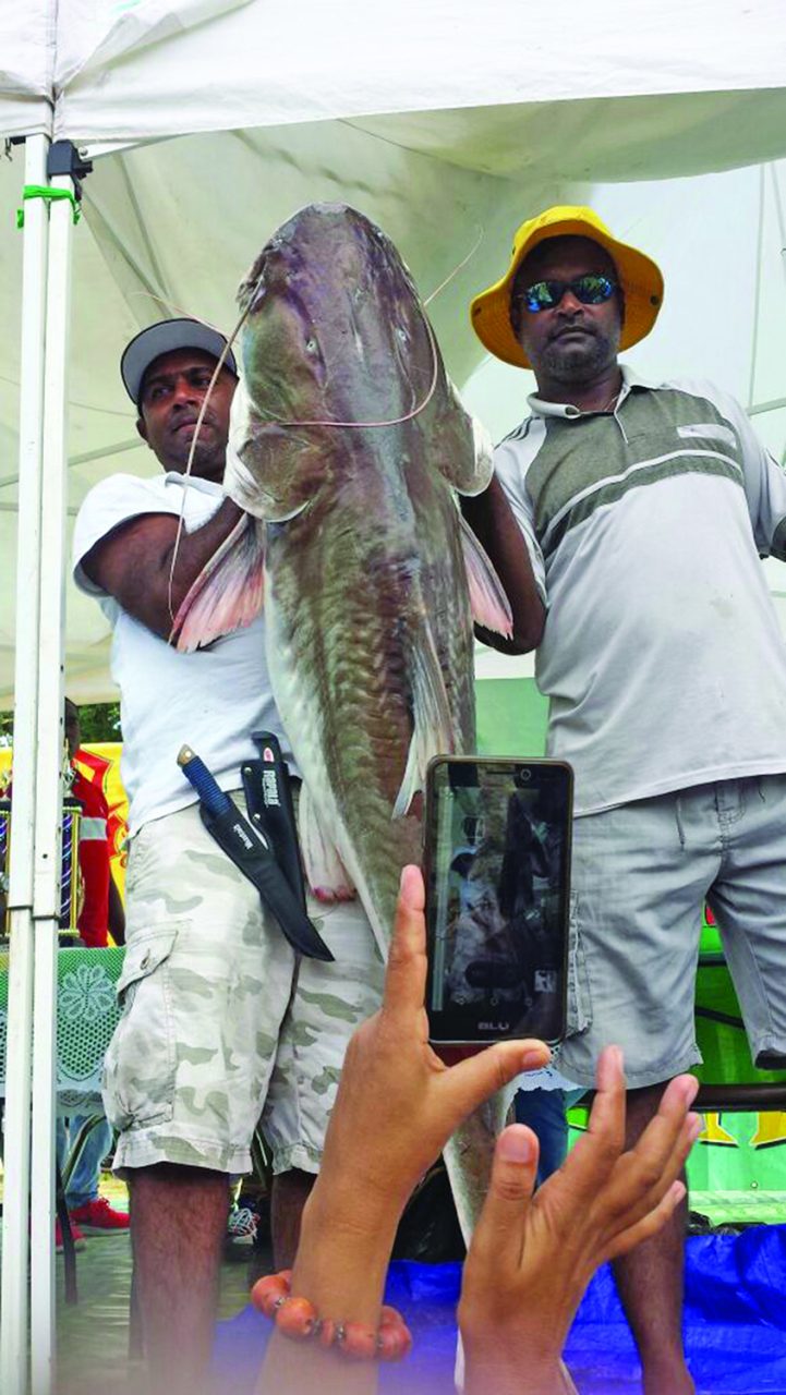 These two gentlemen showcase part of the cat of the Rockstone Fish Festival 