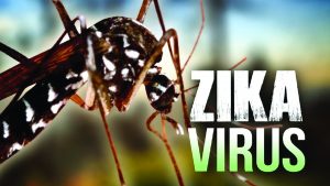 zika-virus-strikes-philippines