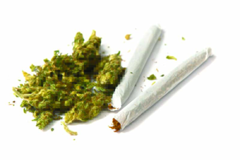 marijuana-drug-screening