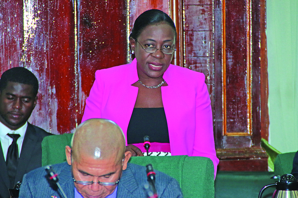 Junior Education Minister Nicolette Henry 