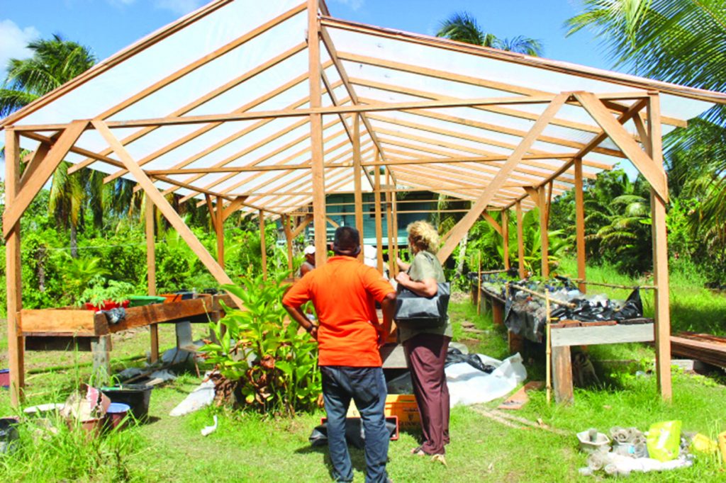 A variety of plants farmed within the shade house