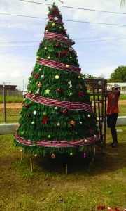 A prisoner working on a Christmas tree in Timehri  