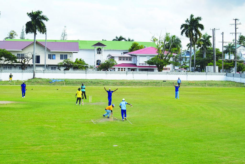 Wellman Masters celebrate the dismissal of Dennis Mangru stumped off Motilall Chumendatt 