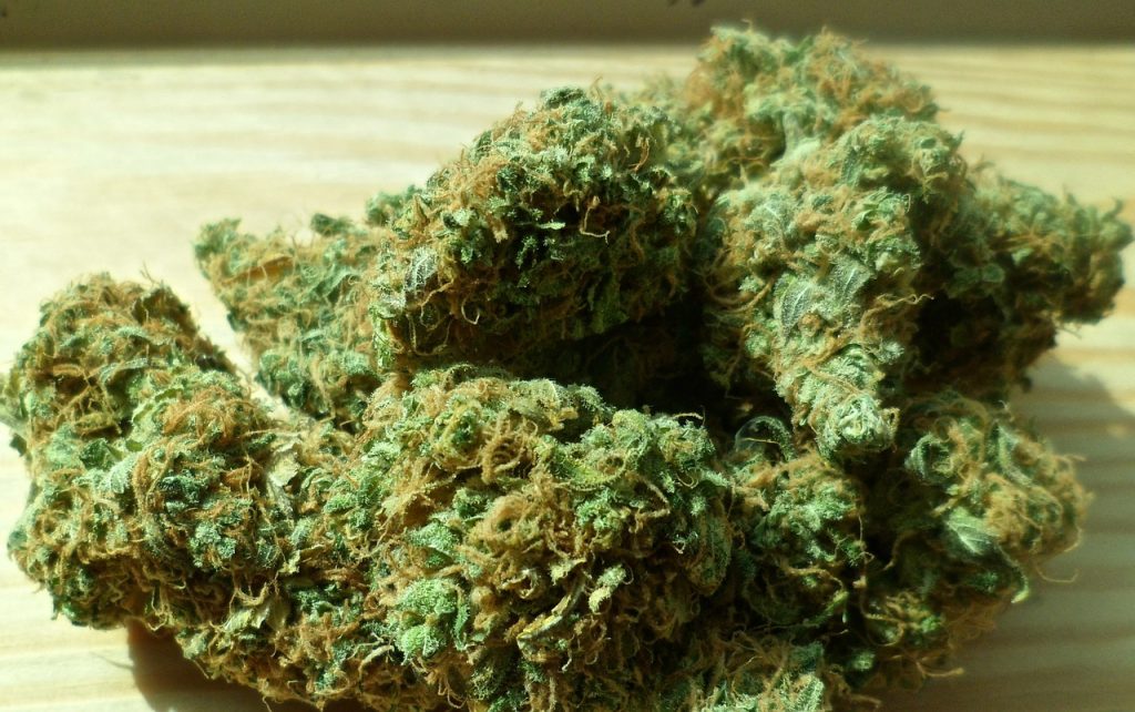 cannabis-weed-ganja