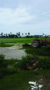 A rice farmer pumping water from his fields in Devonshire Castle 