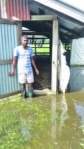 Poultry farmer Kishan Lall early Saturday morning 