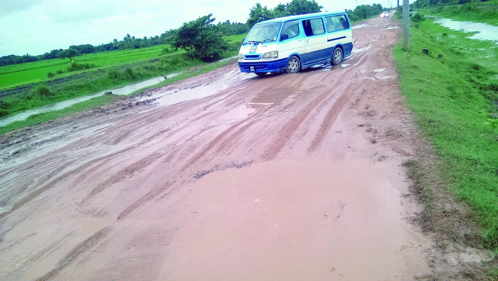 Tough task: This Route 44 minibus navigates its way through a Cane Grove access road 