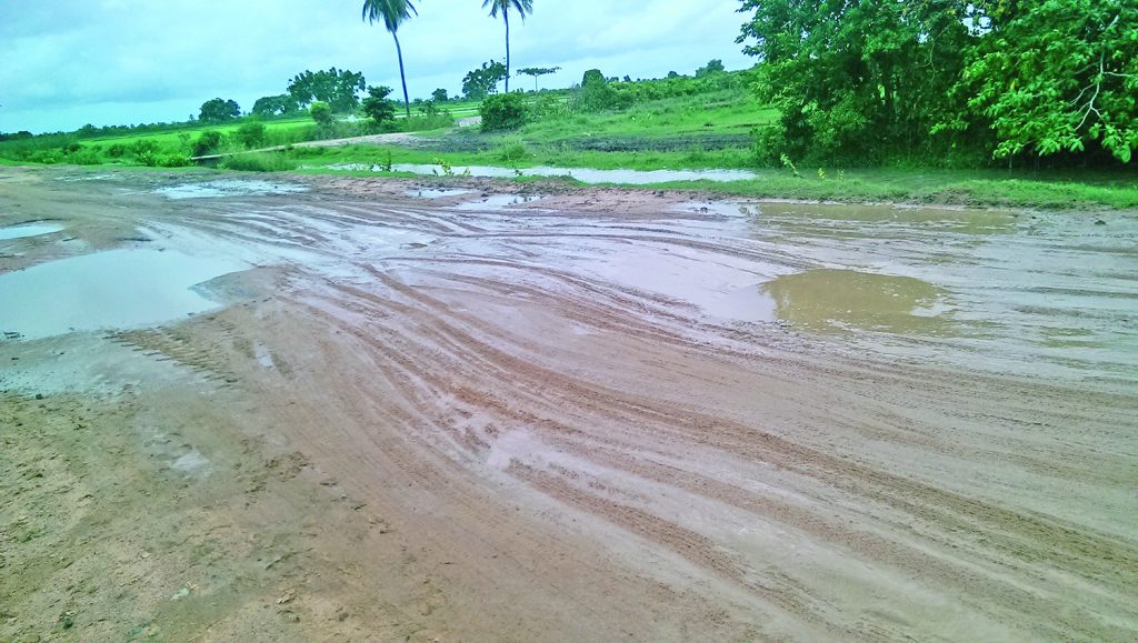 Another section of the Cane Grove, ECD road  