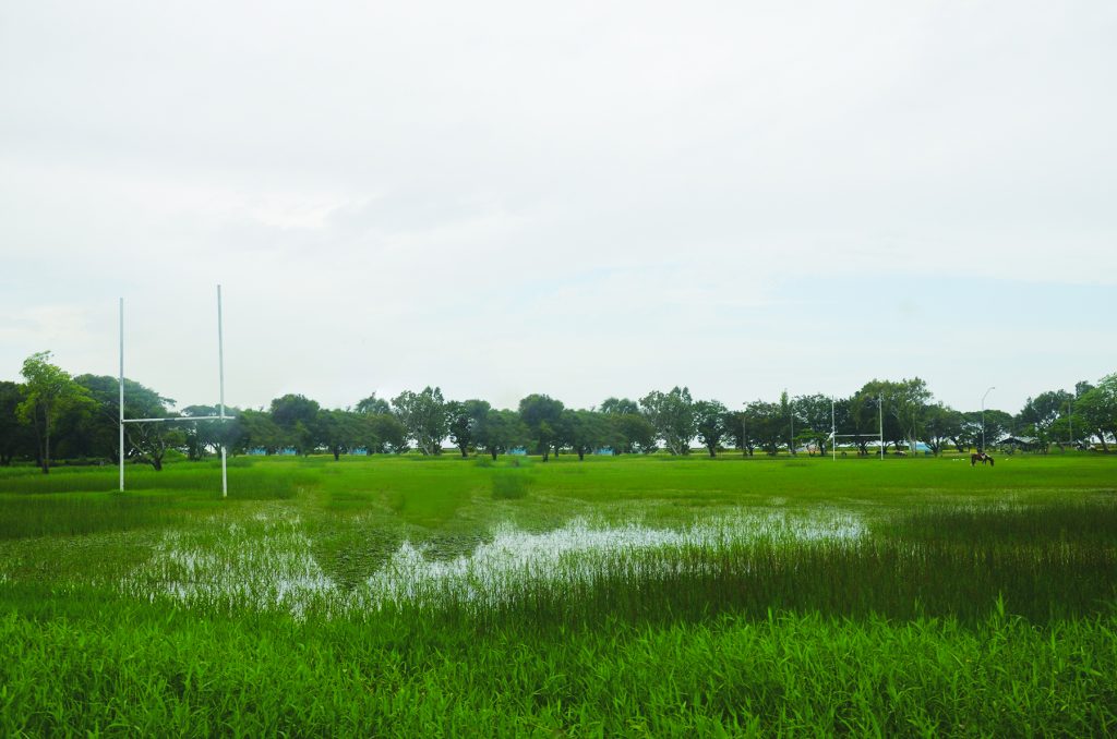 rugby-field-top-back-6-columns-copy