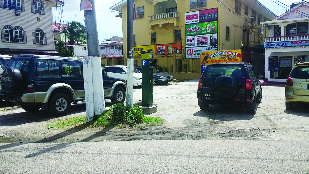 Parking meters have been installed along certain sections of North Road  