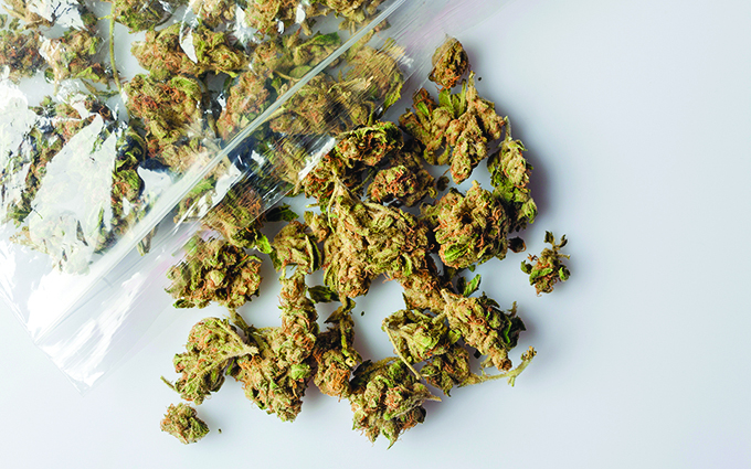 Pile of medical cannabis dried buds scattered from nylon package on white background from above