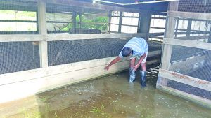 A resident pointing to where the water was four days ago 