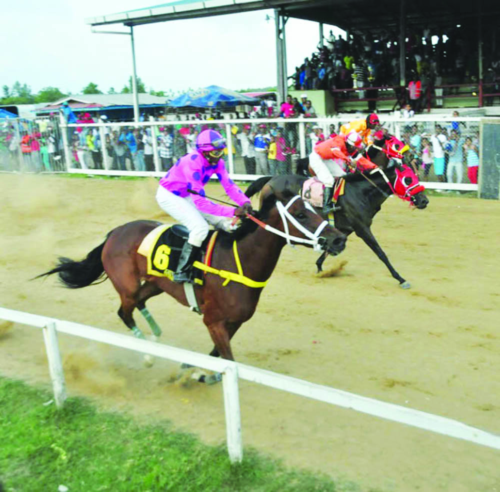 Port Mourant Turf Club is known to attract the biggest and best horse races locally