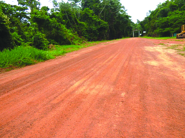 A section of the Linden-Lethem road