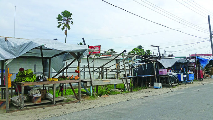 Some of the makeshift stalls along the road shoulders in Anna Regina 