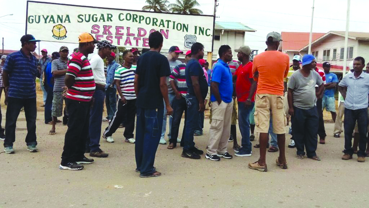 The Skeldon workers are protesting their treatment at the Albion Estate 