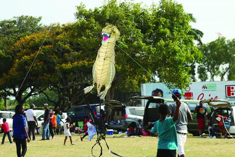 Kite flying a tradition that never grows old Guyana Times