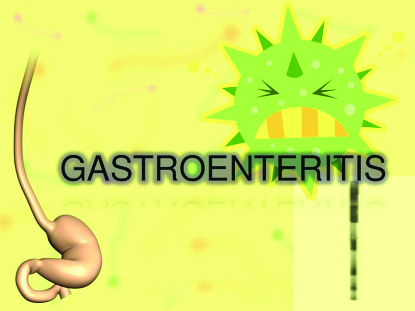 Gastroenteritis cases rise at Kwakwani - Guyana Times