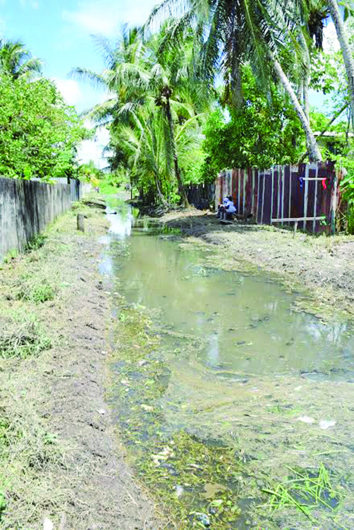 Squatting costing Govt too much for alternative drainage - Guyana Times