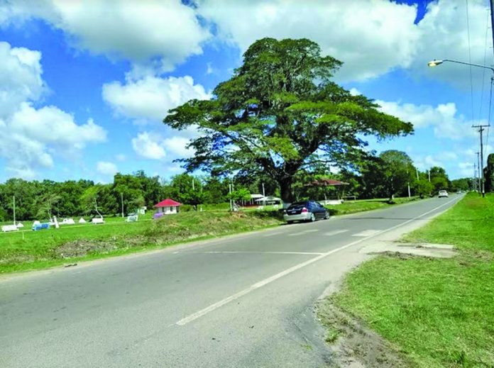 New Amsterdam’s Esplanade Park being renovated Guyana Times