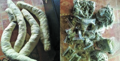 The compressed cannabis unearthed by Police 