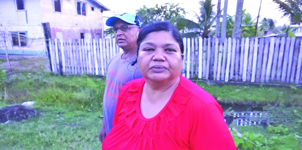 Enmore North residents accuse Co-op of land grabbing campaign - Guyana ...