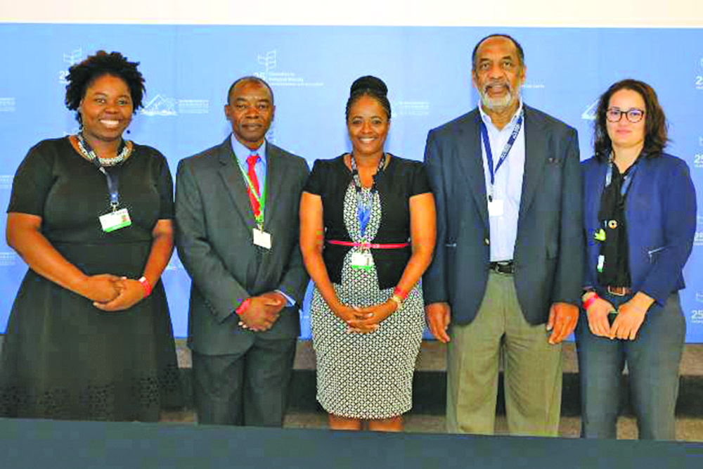 Guyana signs on to new roadmap to save the jaguar - Guyana Times