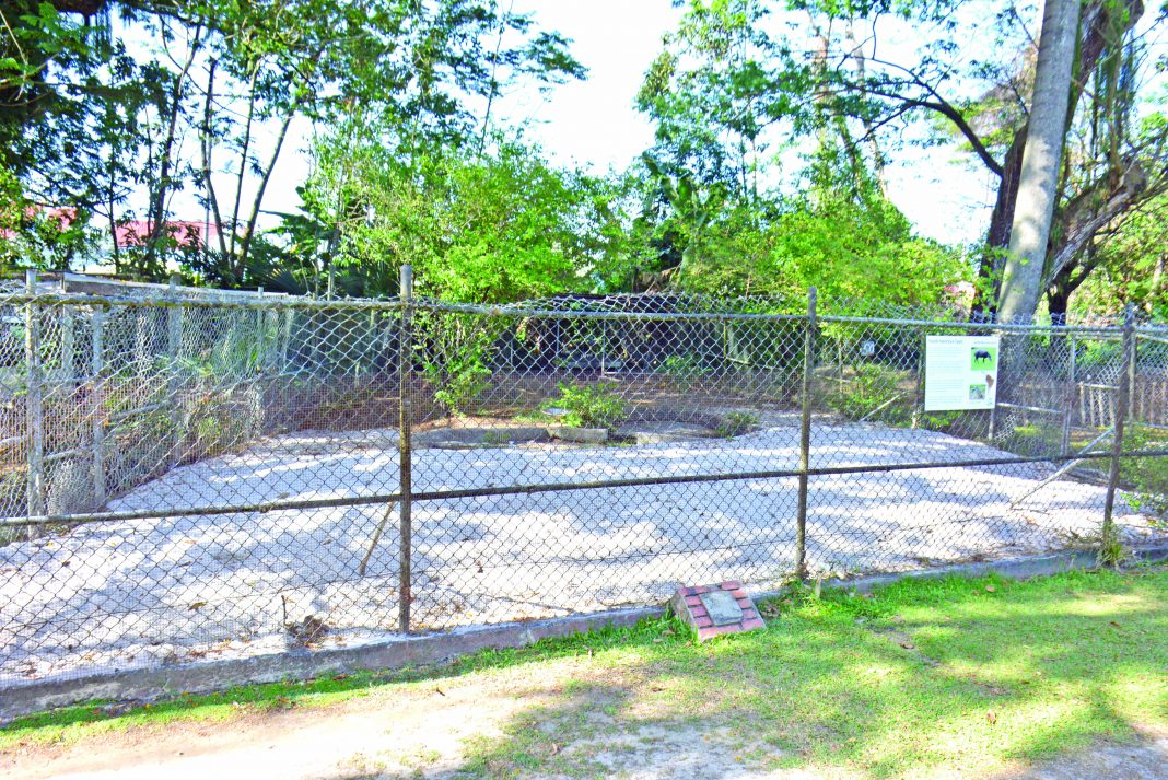 Guyana’s lone zoo filled with empty cages Guyana Times