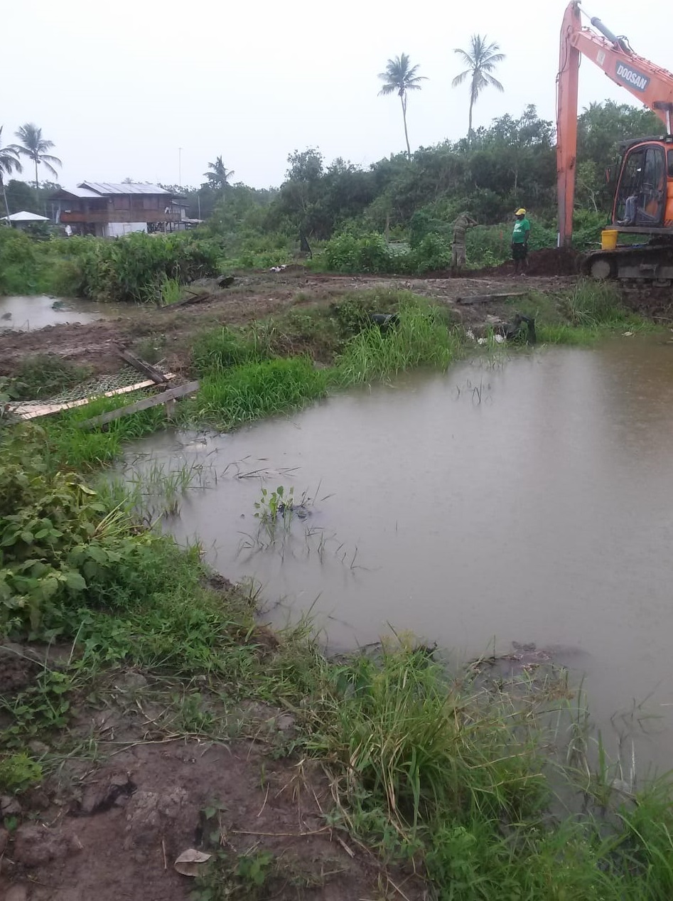 BV farmers bemoan blocked drainage - Guyana Times