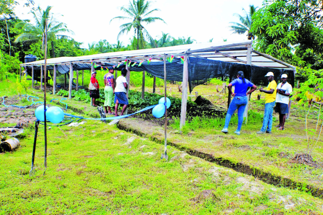 Food For The Poor commissions 20 shade houses in Linden - Guyana Times