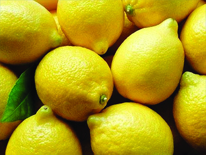 Ban imposed on importation of citrus fruits Guyana Times