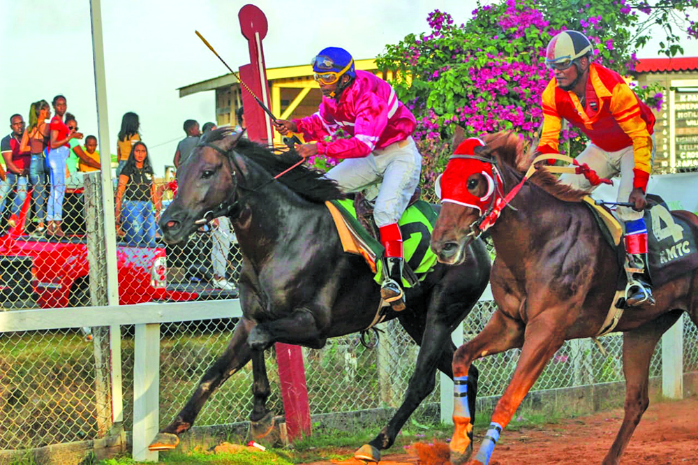 Storm Bird wins Metro-Million-Mile race - Guyana Times