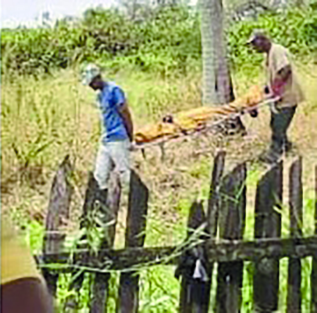 Missing mentally ill woman found dead in Lusignan - Guyana Times
