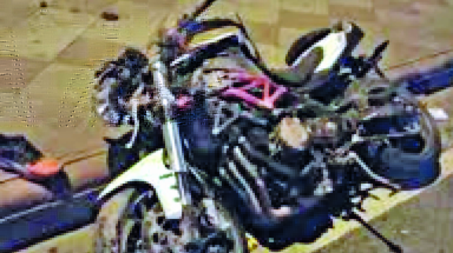 Motorcyclist dies after crashing into utility pole Guyana Times
