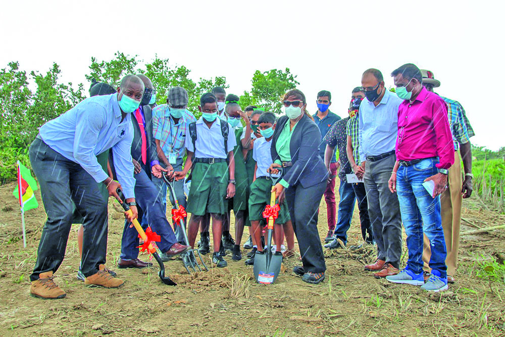 https://guyanatimesgy.com/wp-content/uploads/2021/02/sod-turned.jpg