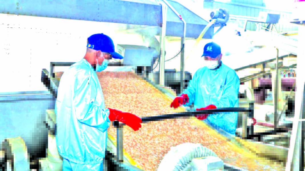 Chinese US25M seafood processing facility providing markets for