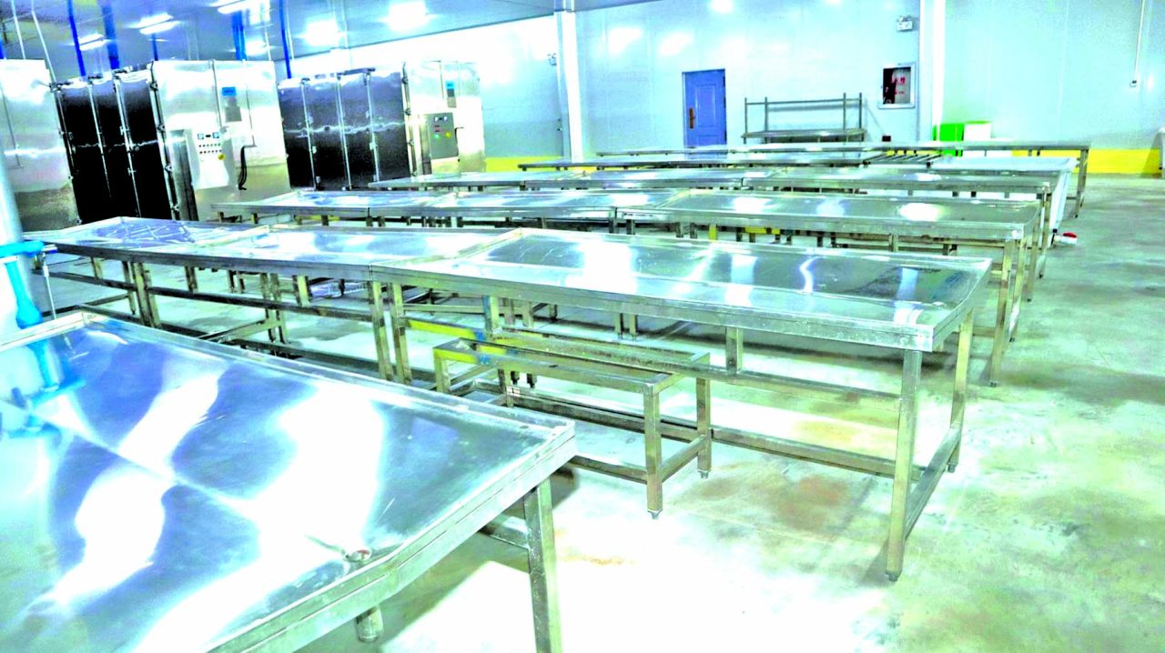 Chinese US25M seafood processing facility providing markets for
