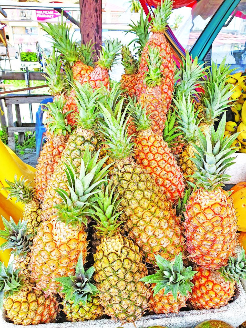 Pineapple vending helping Capoey Village, Mainstay/Whayaka women out of