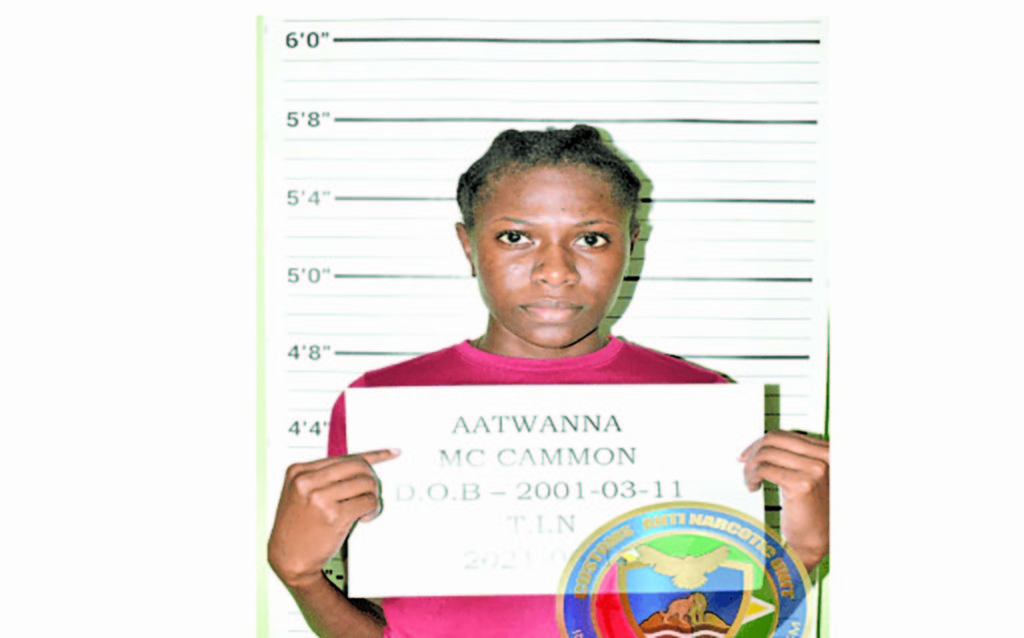 Sophia Resident Busted By Canu With Ganja In Shopping Bag Guyana Times