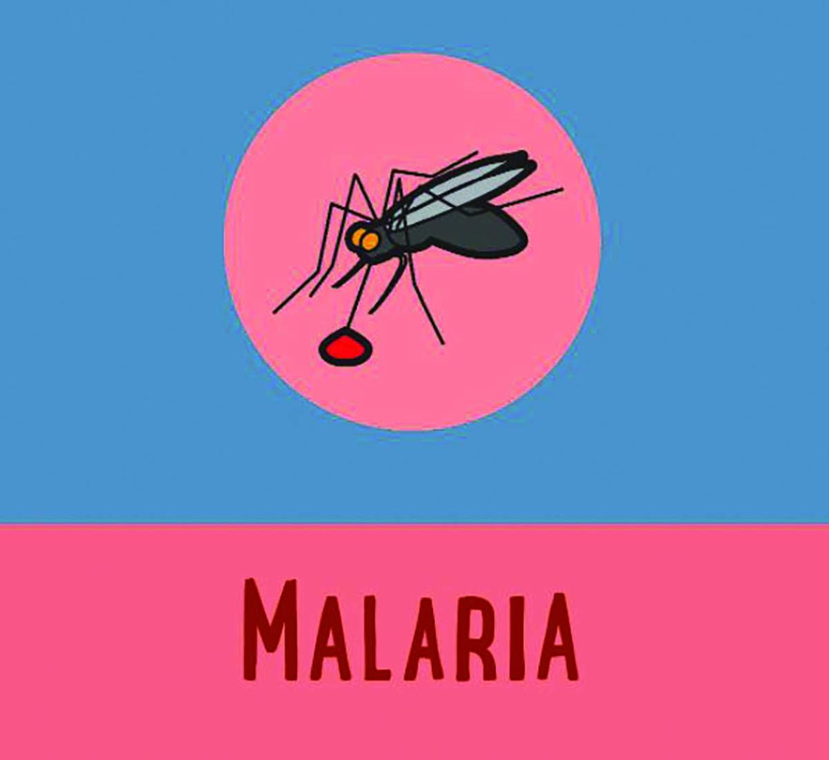 Surveillance project to lift Guyana’s malaria-monitoring capacity ...