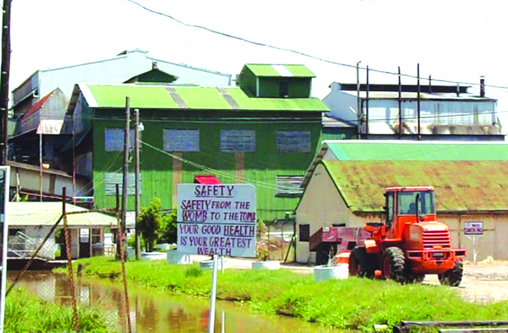 Albion Sugar Estate begins turnaround Guyana Times