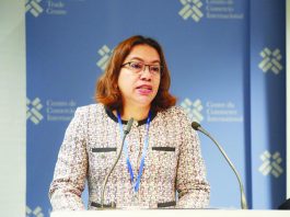 UNSC campaign: Allegiance would be to UN Charter, international law – Rodrigues-Birkett