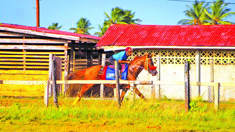Emancipation Day horse race meet Jockeys, owners excited as July 31