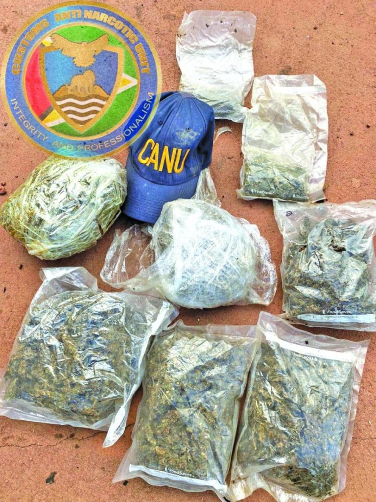 CANU finds gun, ganja during Lethem raid Guyana Times