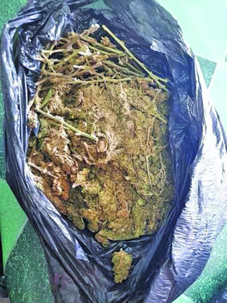 570g ganja found stashed under bucket