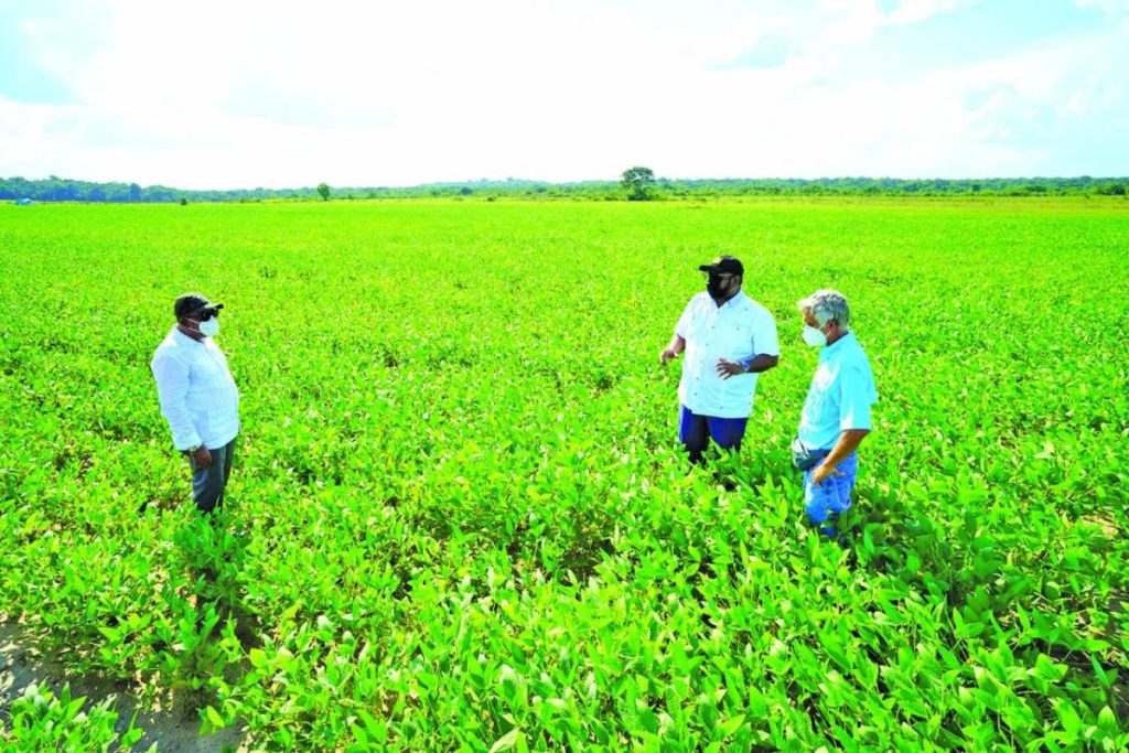 Guyana aims for selfsufficiency in corn, soya bean production by 2025
