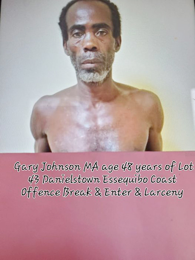 Essequibo Coast Man Gets 12 Months On Breaking Into Pensioners Home Guyana Times